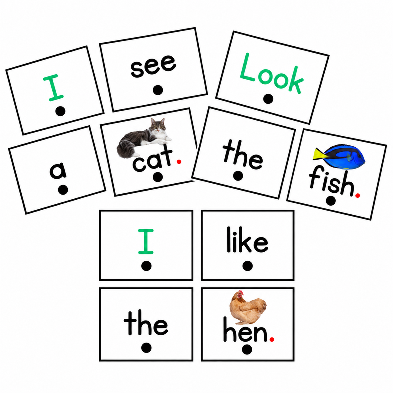 Real Picture Sentence Scrambles